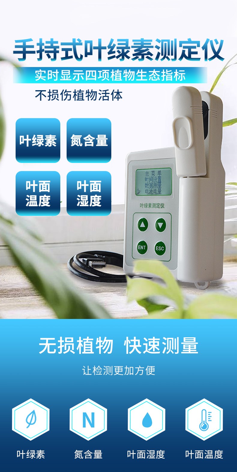 叶绿素仪