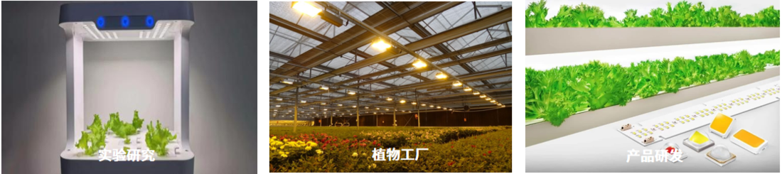 RGO-2000P 植物照明机器人分布测试系统